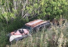 Una de las imágenes que han sido incluidas en la denuncia de la ONG ecologista.