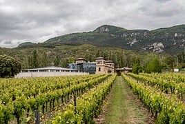 Bodegas Puelles se levanta en un entorno privilegiado, a las faldas de la Sierra de Cantabria.