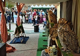 Agoncillo disfruta del XIV Mercado Medieval