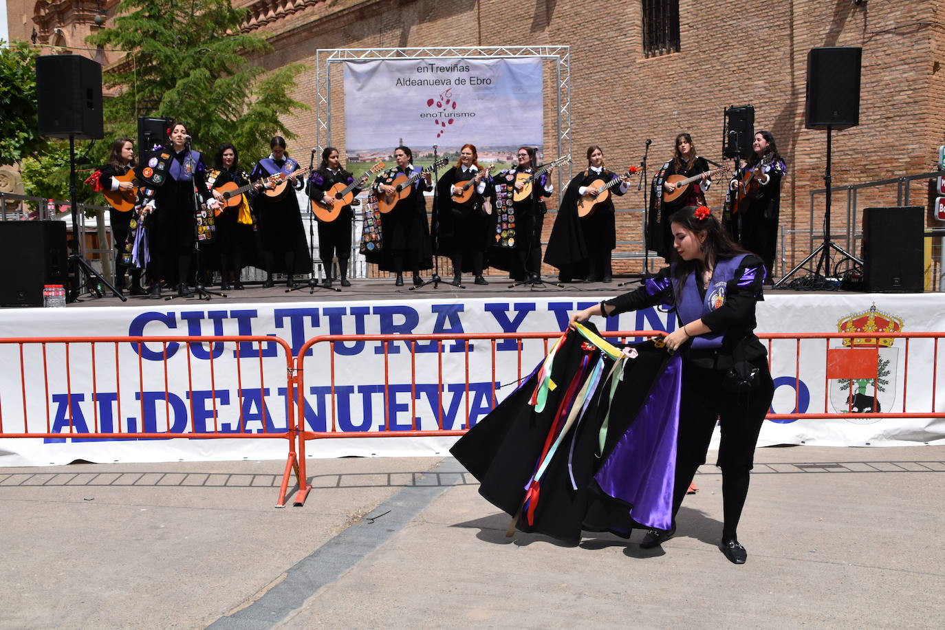 Aldeanueva acoge la XV edición de Entreviñas