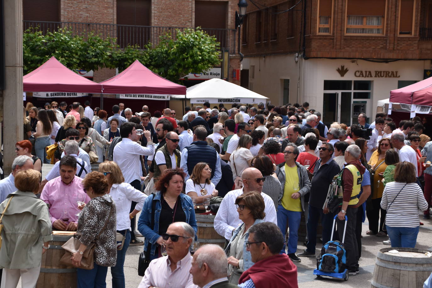 Aldeanueva acoge la XV edición de Entreviñas