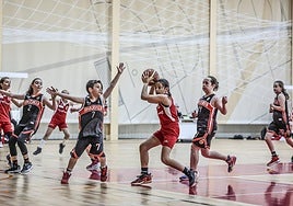 Primera jornada del Día del Mini en Lobete