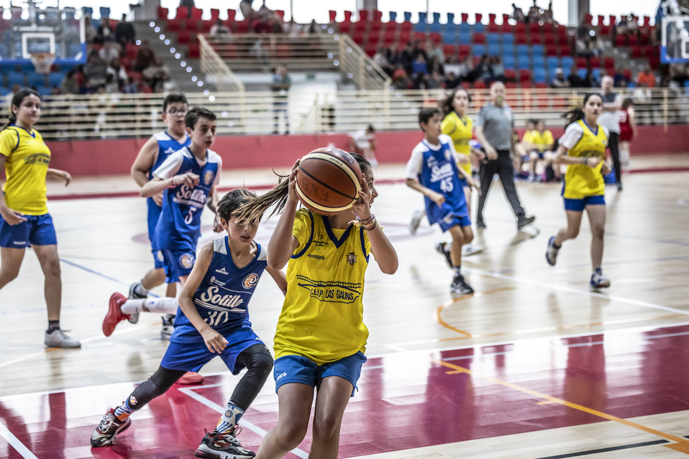 Primera jornada del Día del Mini en Lobete