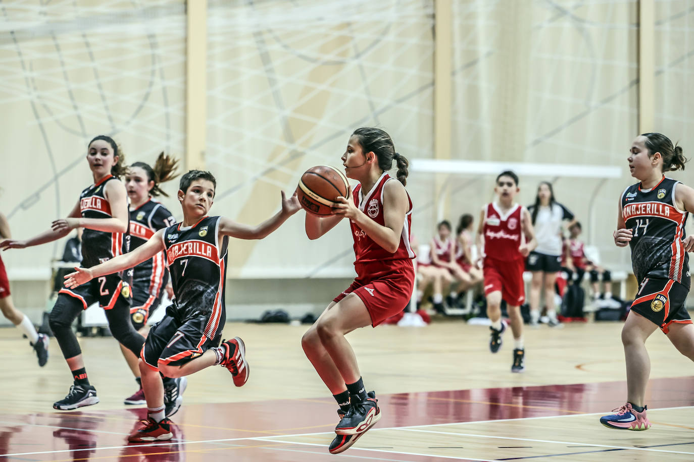 Primera jornada del Día del Mini en Lobete