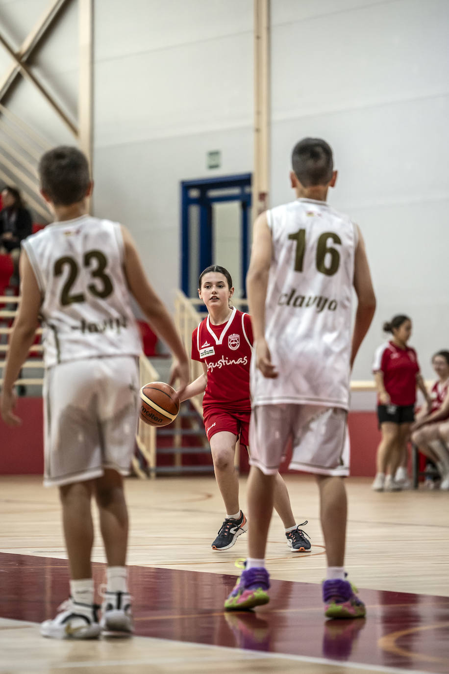 Primera jornada del Día del Mini en Lobete