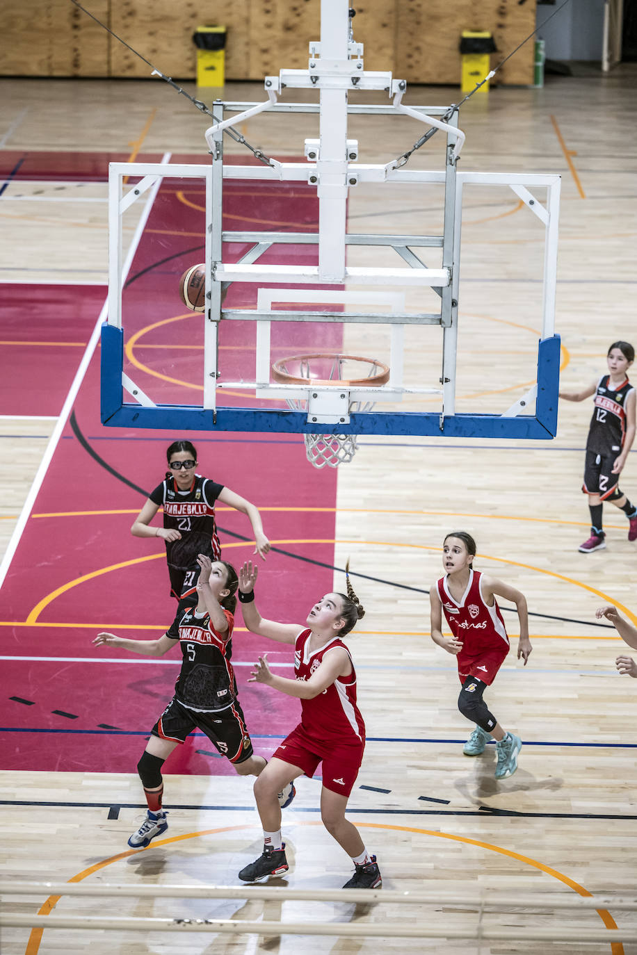 Primera jornada del Día del Mini en Lobete