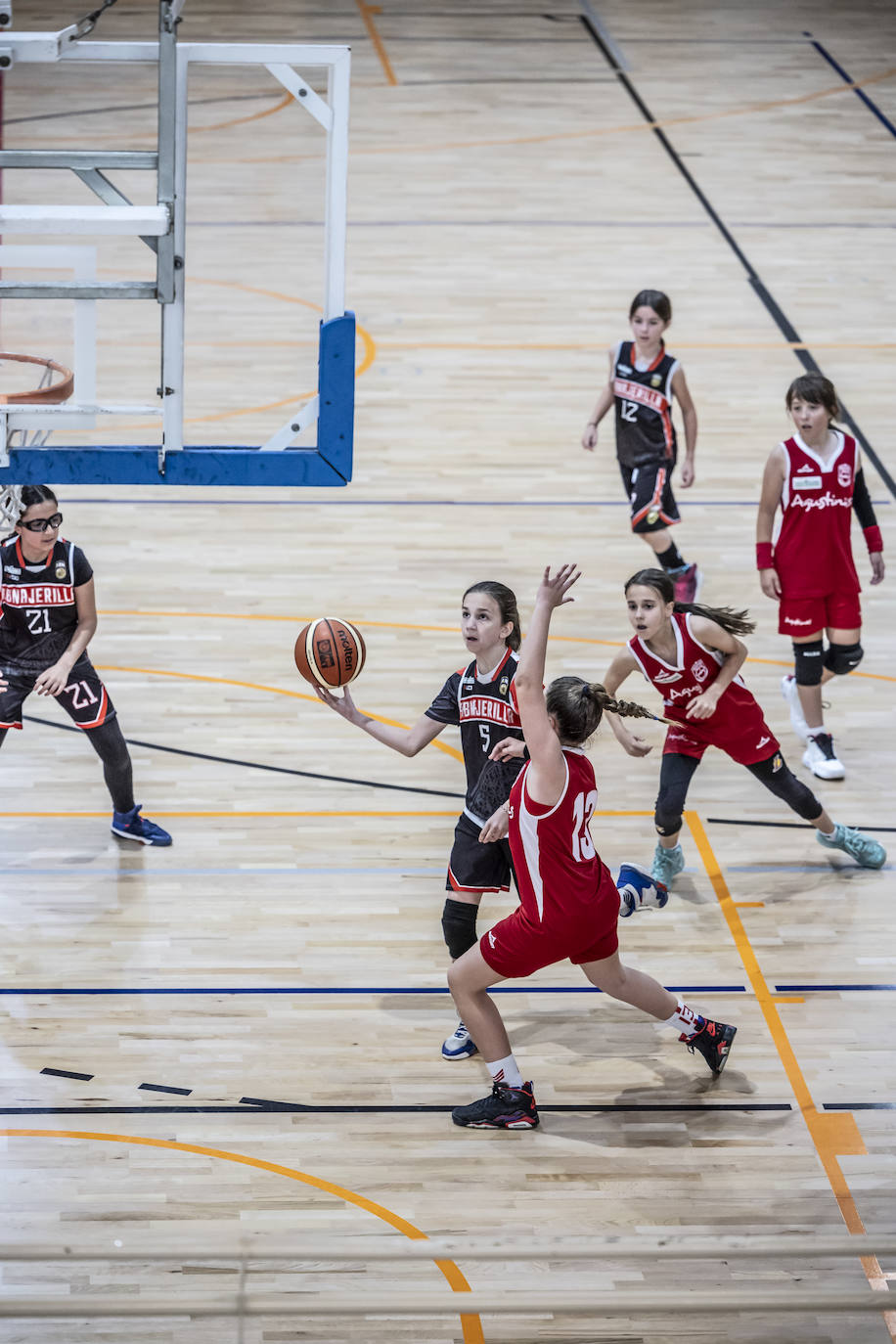 Primera jornada del Día del Mini en Lobete