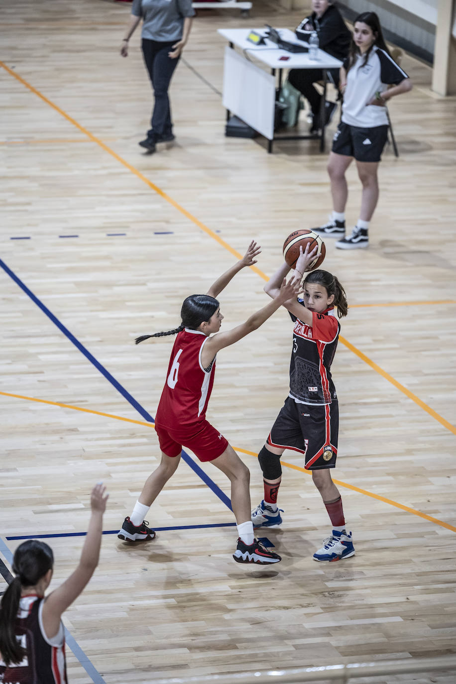 Primera jornada del Día del Mini en Lobete