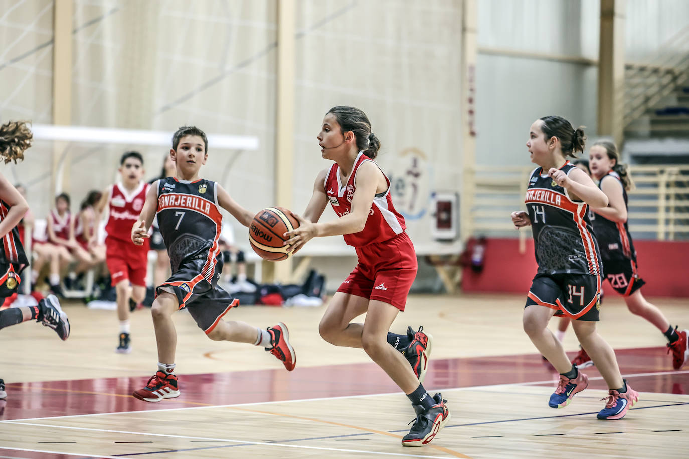 Primera jornada del Día del Mini en Lobete