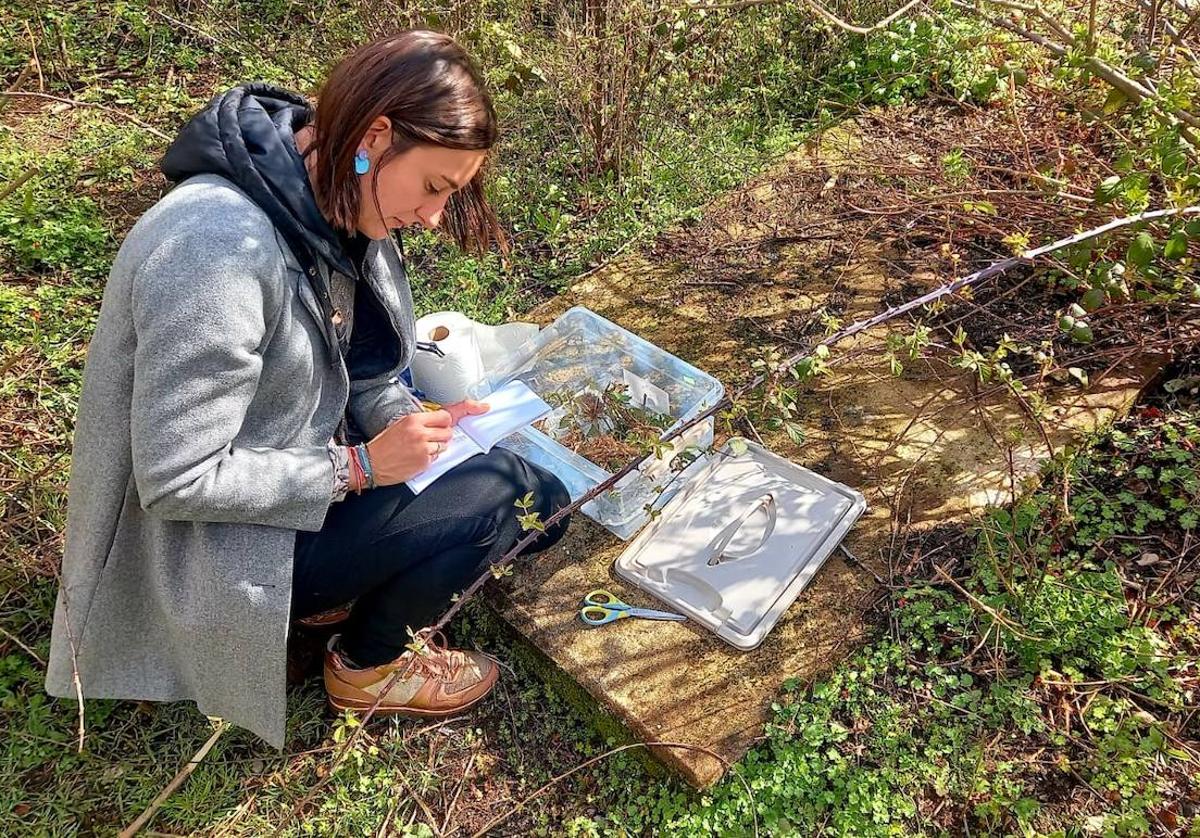 La artista riojana Sofía Moreno, durante la recogida de muestras en Viniegra.