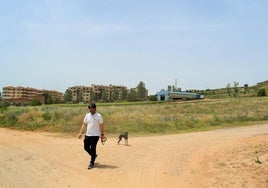 Pablo Villar pasea a su perro por el camino de la Solana, junto al terreno, antes un viñedo, donde se ha proyectado el campo de fútbol.