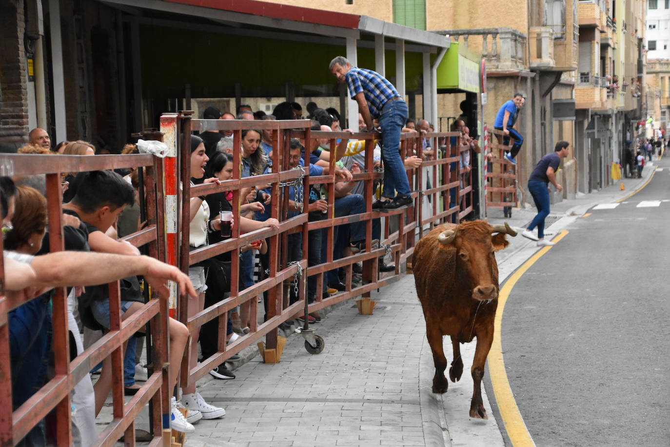 Fin de semana de actos culturales, deportivos y gastronómicos en Cervera