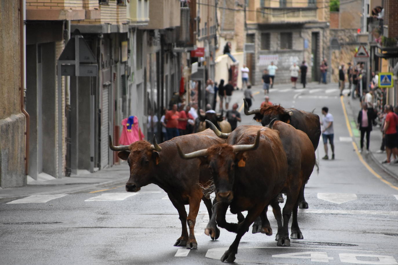 Fin de semana de actos culturales, deportivos y gastronómicos en Cervera