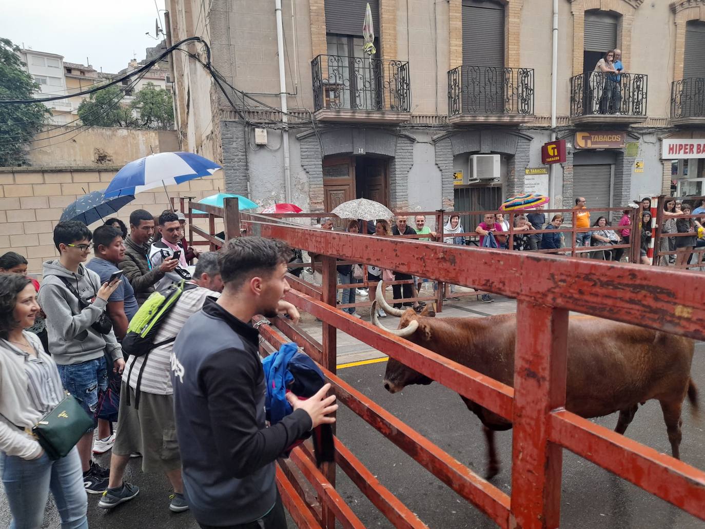 Fin de semana de actos culturales, deportivos y gastronómicos en Cervera