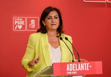 Andreu deja el Parlamento regional y no optará a seguir como secretaria general del PSOE