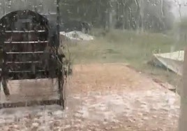 Vídeo | Una fuerte tormenta con granizo descarga en Nalda