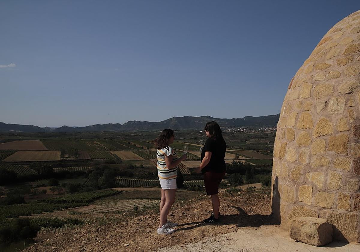 Betolaza: amor por el vino, respeto a la viña