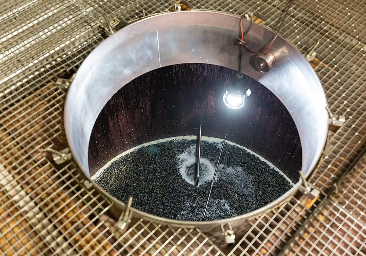 Depósito en fermentación.