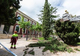 Operarios de parques y jardines durante una reciente actuación de urgencia en zonas verdes de la ciudad.