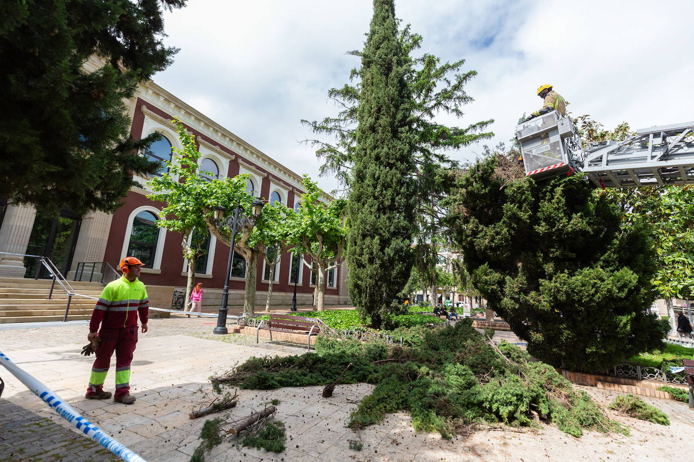 Operarios de parques y jardines durante una reciente actuación de urgencia en zonas verdes de la ciudad.