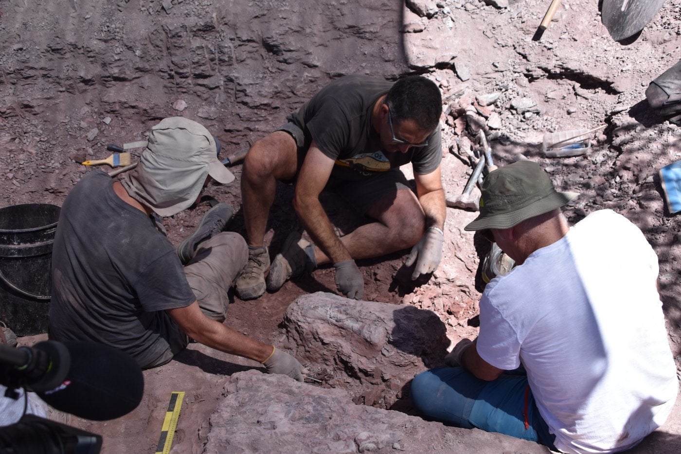 Un metatarso de espinosáurido, este jueves durante el proceso de extracción.