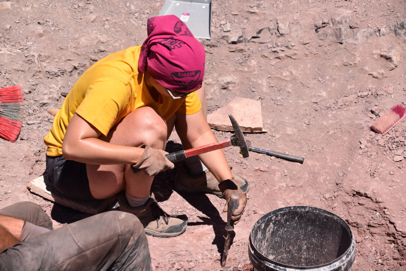 Las imágenes de la excavación del yacimiento de Igea