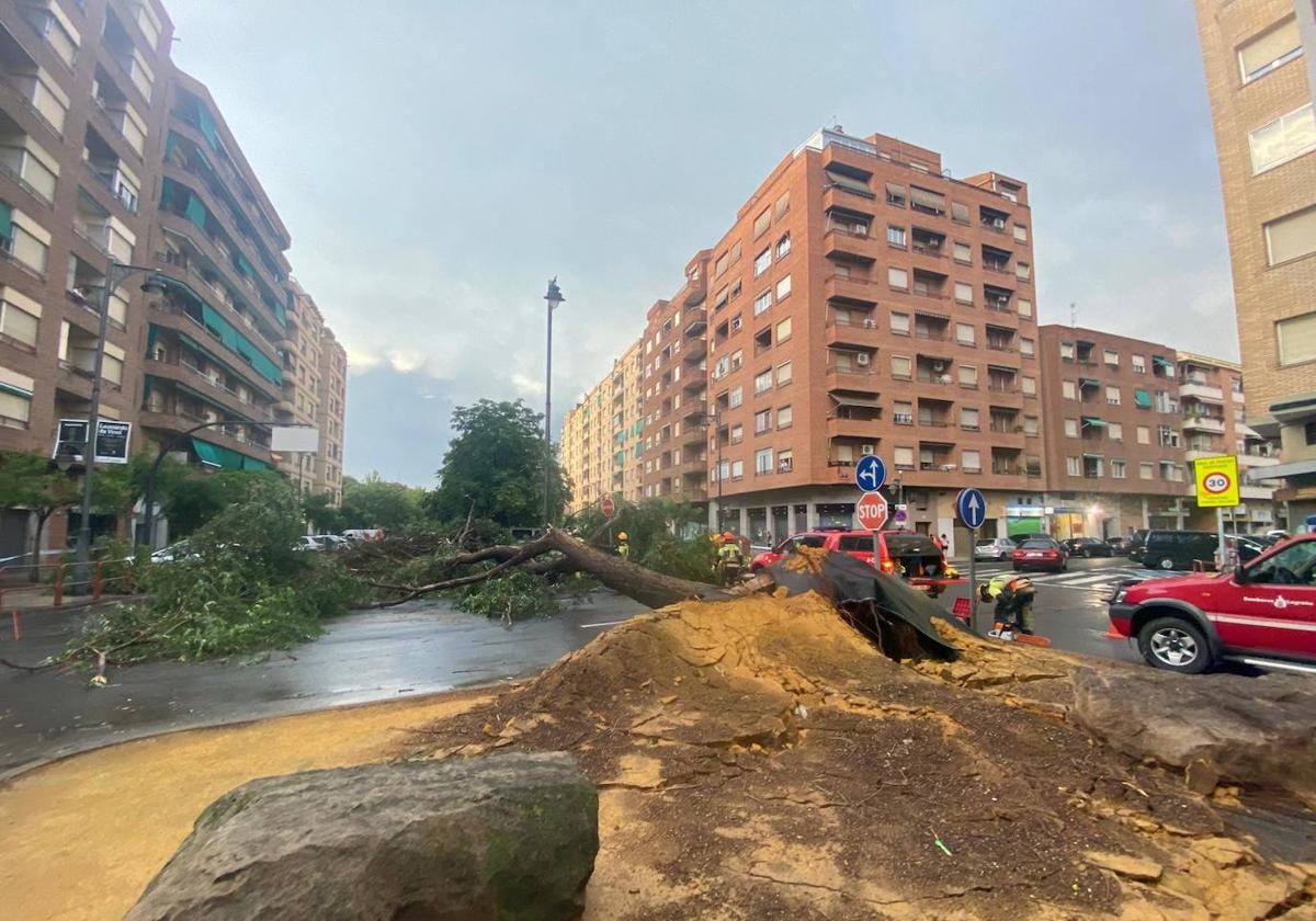 Los destrozos de la tormenta