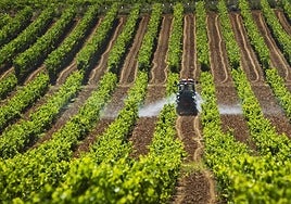 El cultivo de la vid en ambientes extremos abre la conferencia internacional del ICVV
