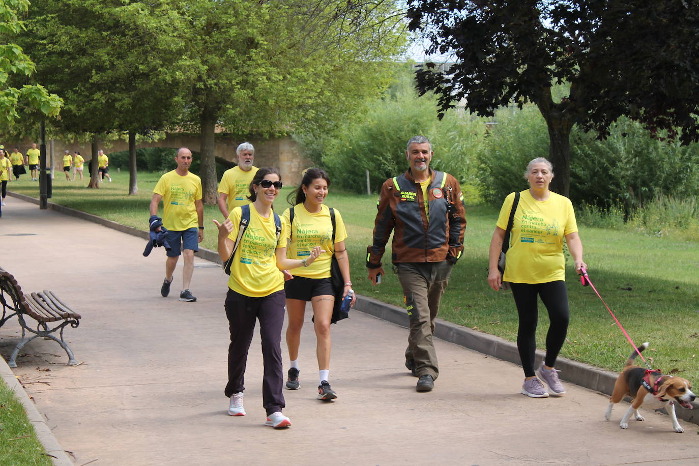 Las imágenes de la marcha solidaria contra el cáncer en Nájera