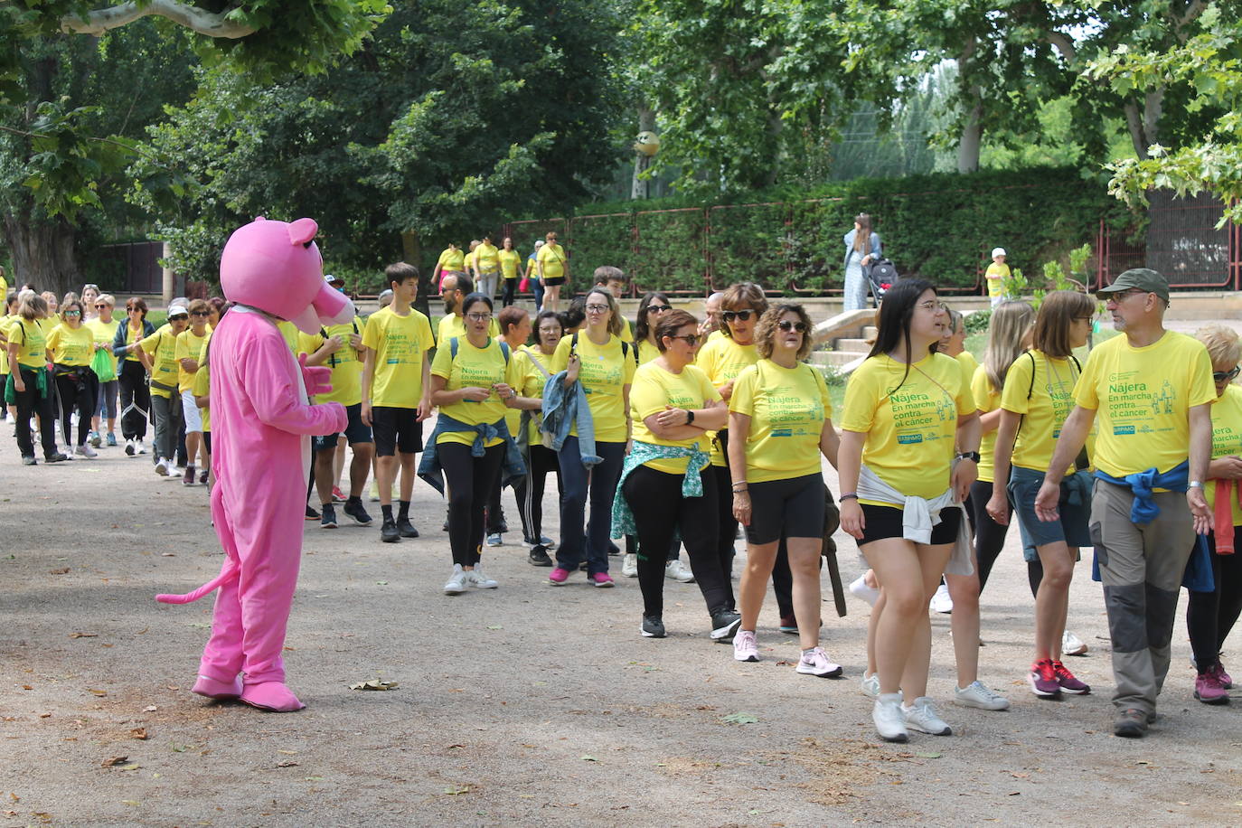 Las imágenes de la marcha solidaria contra el cáncer en Nájera
