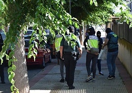 Policía y Guardia Civil, en la intervención en Lardero.