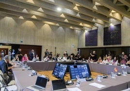 Reunión celebrada esta tarde en Tenerife, a la que la consejera Martín ha asistido por medios telemáticos