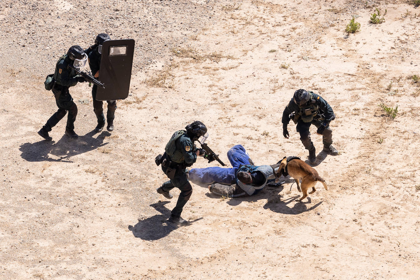 Las fuerzas del GAR entrenan con el grupo Omega, la unidad antiterrorista de la Guardia Nacional de Ucrania