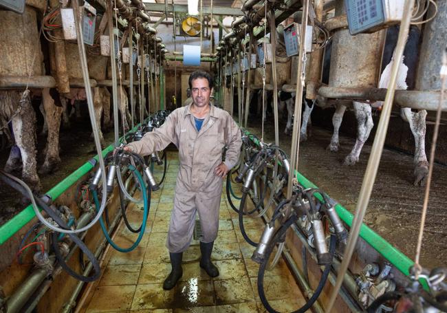 Jesús Luis Jiménez tiene 160 vacas de leche «y otras 150 en la recría».