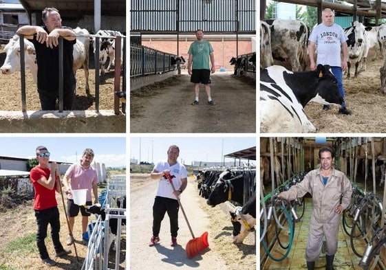 Los últimos siete vaqueros de leche de La Rioja