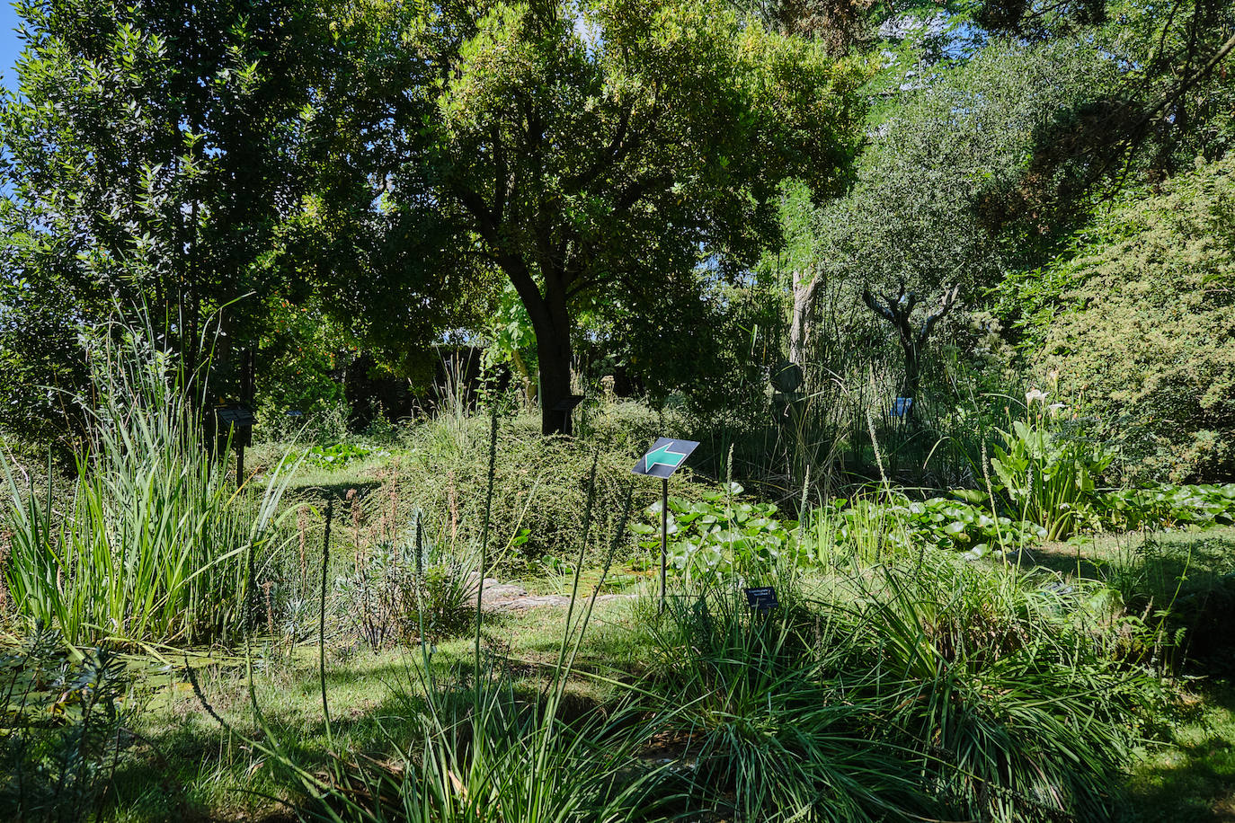 El Jardín Botánico, en todo su esplendor