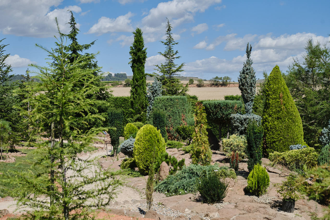 El Jardín Botánico, en todo su esplendor