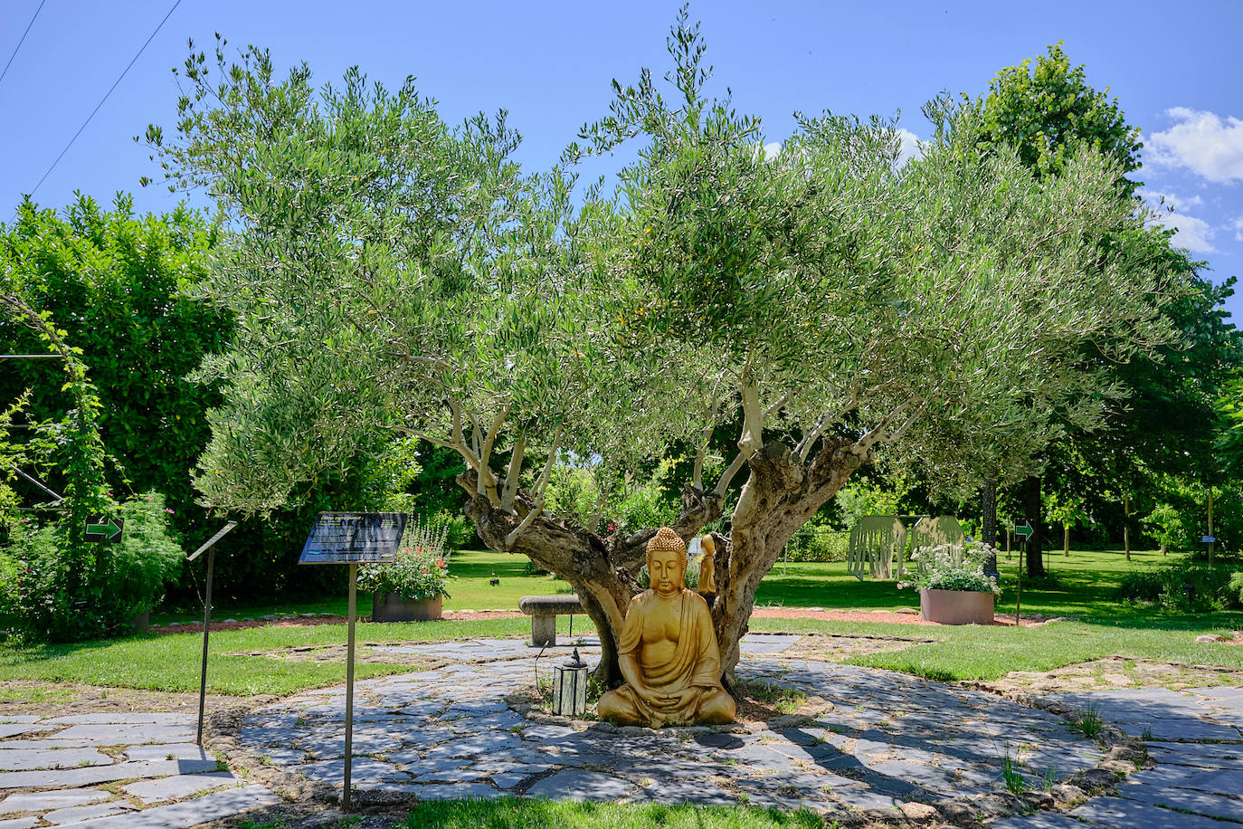 El Jardín Botánico, en todo su esplendor