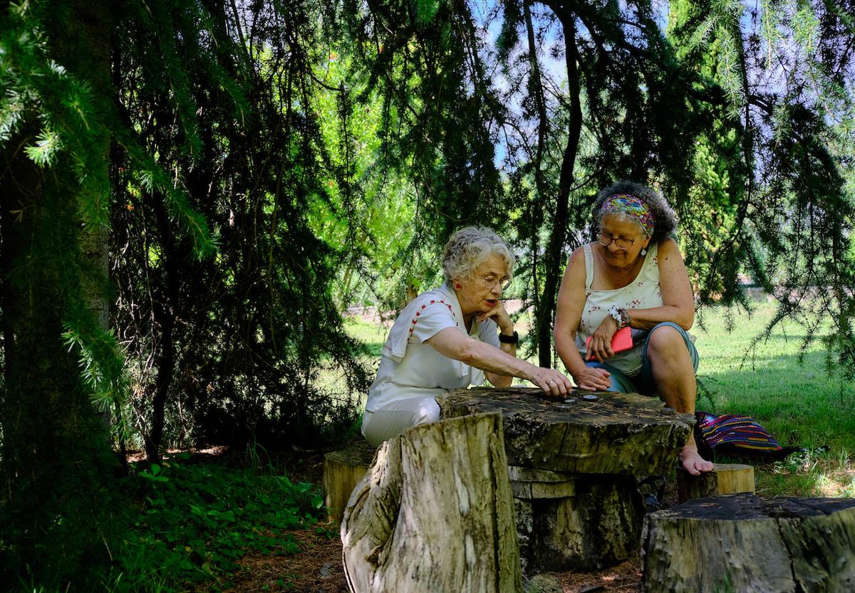 Mari Carmen y Juli, vecinas de la localidad vizcaína de Portugalete, aprovechan a jugar al tres en raya entre los árboles del Jardín Botánico de La Rioja mientras se resguardan de una jornada sofocante.