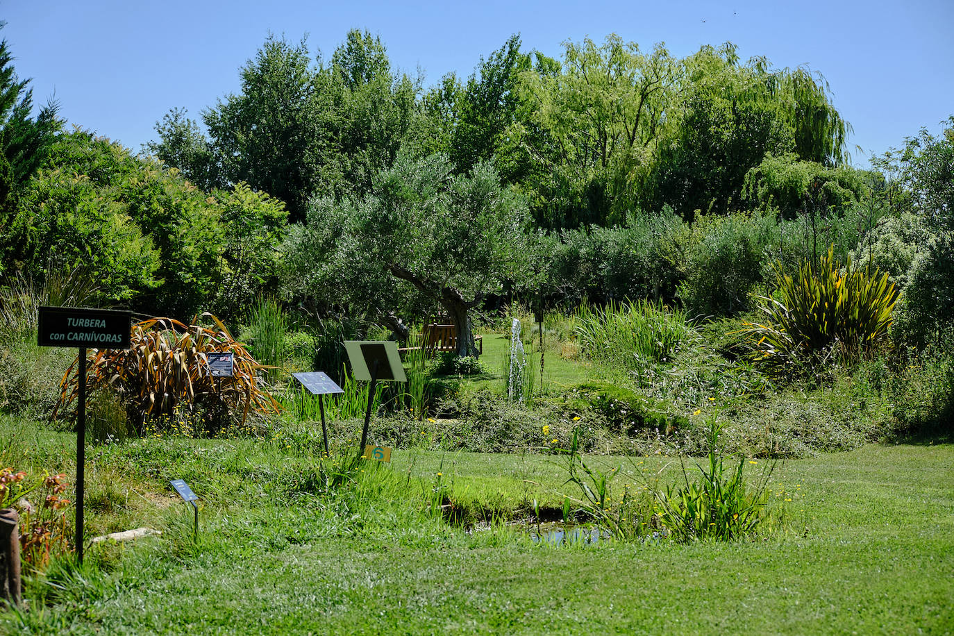 El Jardín Botánico, en todo su esplendor