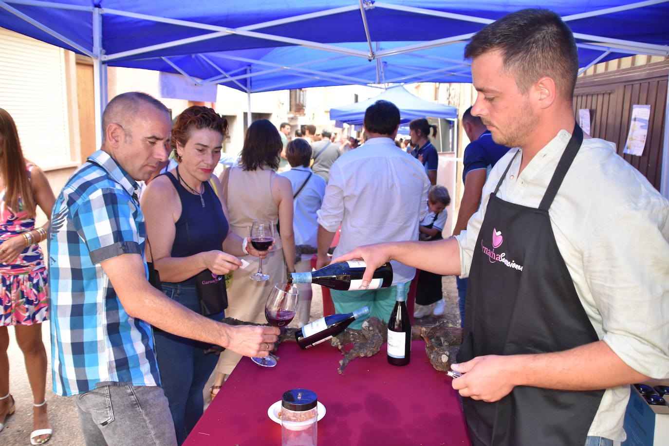 La feria del vino &#039;Garnacha sensanciones&#039;, un éxito en Tudelilla