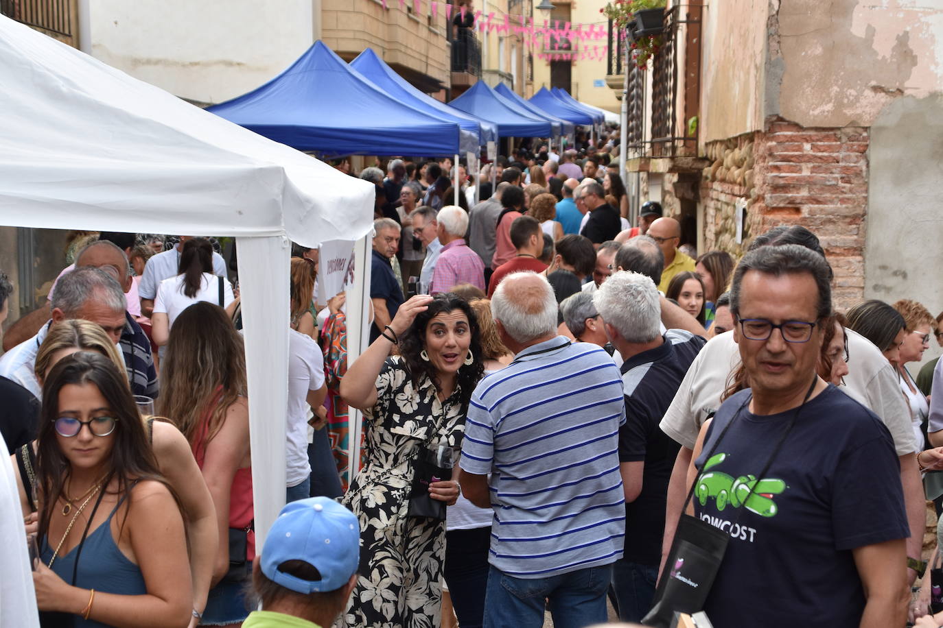 La feria del vino &#039;Garnacha sensanciones&#039;, un éxito en Tudelilla