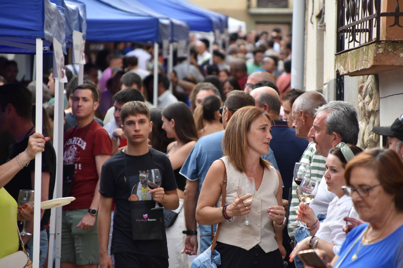 La feria del vino &#039;Garnacha sensanciones&#039;, un éxito en Tudelilla