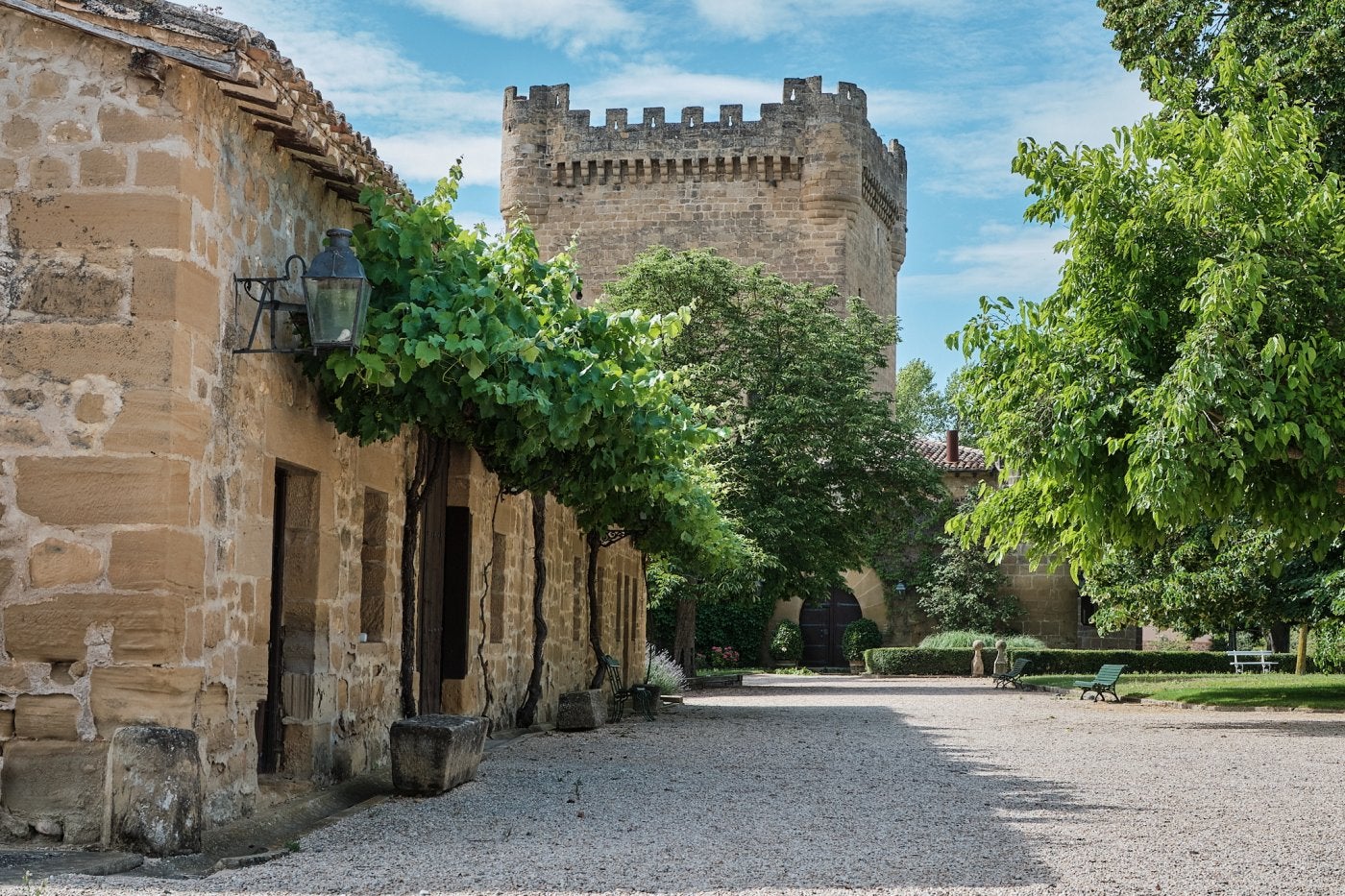 Castillo de Cuzcurrita Cautivos del viñedo