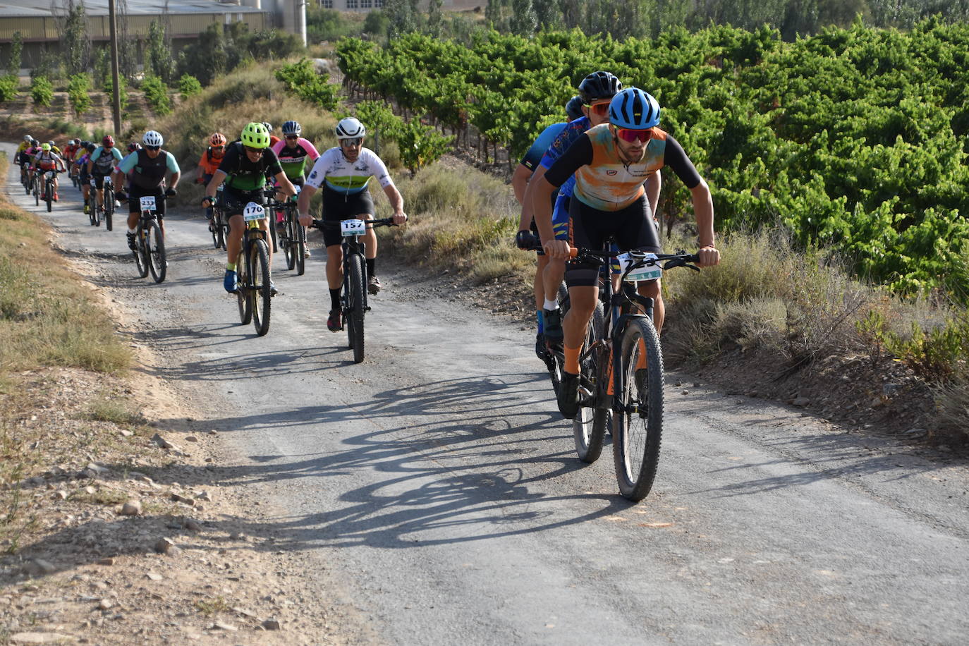 Búscate en la BTT La Pera
