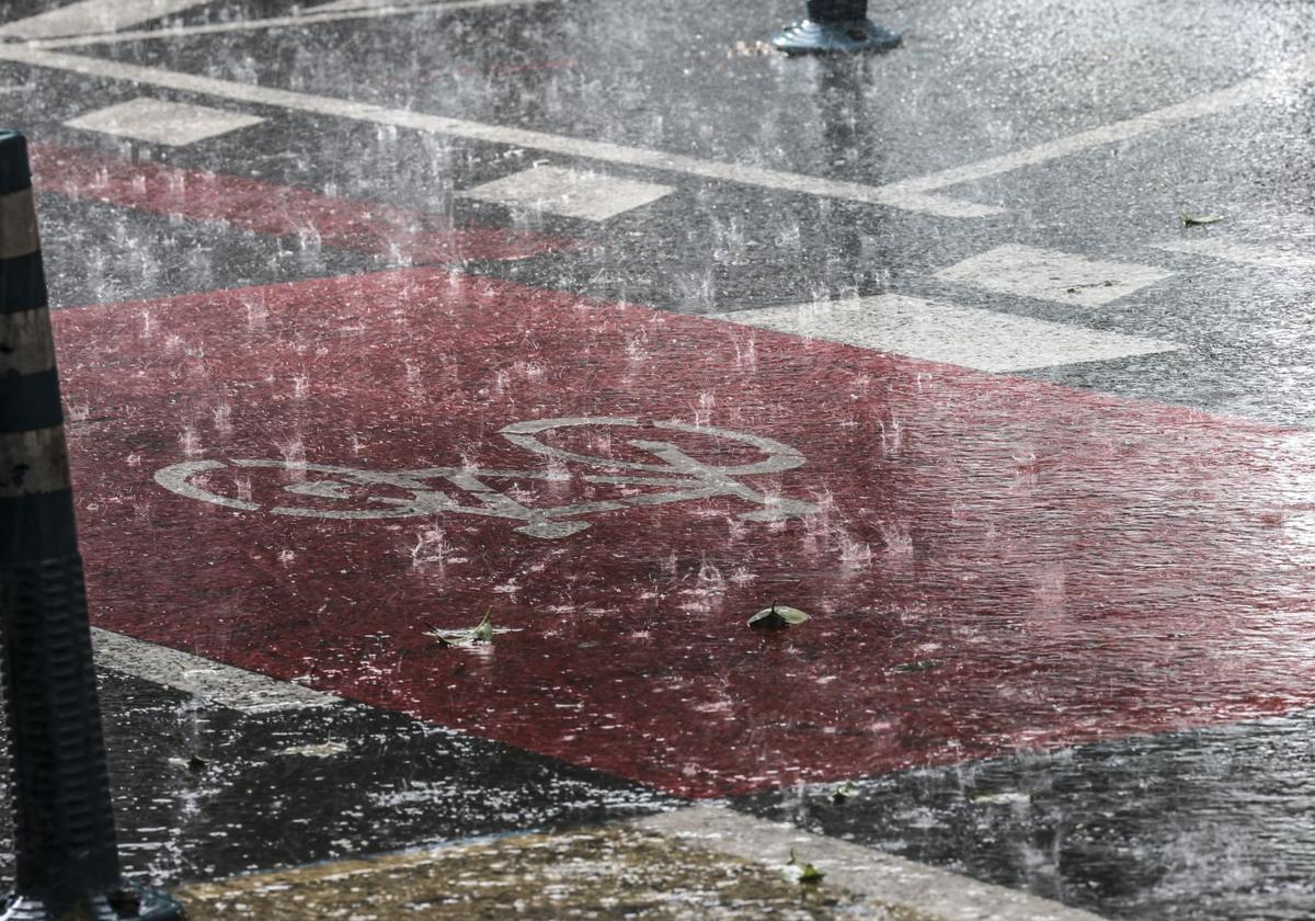 Caída de cableado eléctrico o de árboles, incidencias de la tormenta de ayer en varias poblaciones riojanas