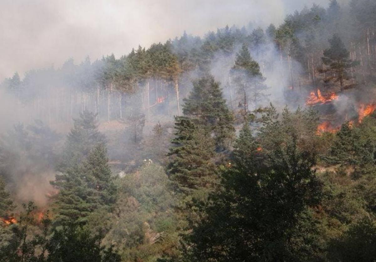 El incendio de Canales fue provocado por maquinaria forestal