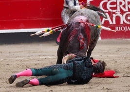 Diego Urdiales, en el suelo, tras ser volteado por el toro en Azpeitia.