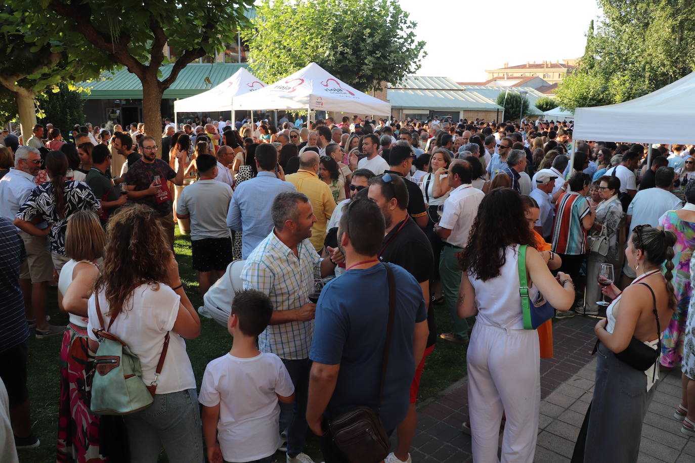 Búscate en la XIII Bodegas en la Calle