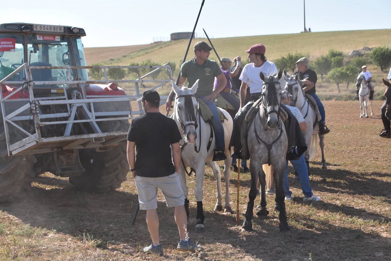 La saca de vacas de Valverde, en imágenes